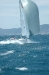 Cannes con 30 nodi