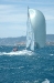 Cannes con 30 nodi